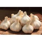  местного производства чеснок [ flat дверь чеснок примерно 500g входить ]