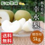  Tochigi префектура производство [ груша . вода 5kg(12~16 шар )](2025 год 8 месяц 20 день ~22 день отгрузка минут )[.. для прямая поставка от производителя бесплатная доставка ]