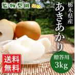 Tochigi префектура производство [ груша .....3kg(7~9 шар )](2024 год 8 месяц 20 день ~23 день примерно отгрузка минут )[.. для прямая поставка от производителя бесплатная доставка ]
