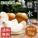  Tochigi префектура производство [ груша . вода 5kg(10~12 шар )](2024 год 9 месяц 1 день ~20 день примерно отгрузка минут )[.. для прямая поставка от производителя бесплатная доставка ]