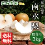  Tochigi префектура производство [ груша юг вода 3kg(7~9 шар )](2024 год 9 месяц 13 день ~27 день примерно отгрузка минут )[.. для прямая поставка от производителя бесплатная доставка ]