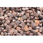 [ Tochigi .. соба 1kg] [ экспресс доставка на дом соответствует ](soba)