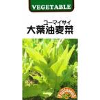 藤田種子　大葉油麦菜