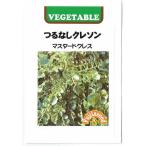 藤田種子　「つるなしクレソン」のタネ（マスタードク