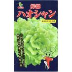 小林種苗 レタス ハオ