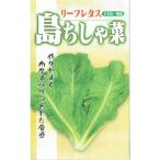  Futaba вид рассада leaf lettuce остров ....3ml[ отправка по почте соответствует ]