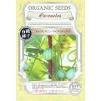 [ иметь машина семена ] огурец [ огурец дыня | микро огурец ]. tane[ внутри емкость : примерно 25 шарик ]