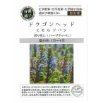 [ иметь машина семена ] Dragon head (morudoba). tane[ внутри емкость :0.3g]