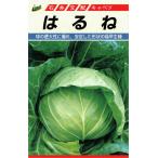 石井育種場 キャベツ はるねのタネ[内容量：約200粒]