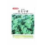  Kobayashi вид рассада орегано e milio. tane[ внутри емкость : примерно 100 шарик ]