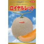 神田育種農場「メロン