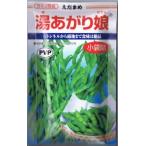 カネコ種苗　えだまめ　湯あがり娘 [内容量：約100粒]