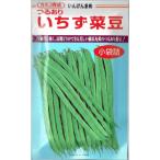 カネコ種苗　つるありいちず菜豆　[内容量