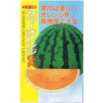  наан to вид рассада арбуз summer orange Grand примерно 7 шарик [ отправка по почте соответствует ]