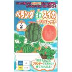  наан to вид рассада арбуз морской красный примерно 5 шарик [ отправка по почте соответствует ]