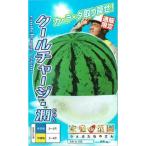 ナント種苗 スイカ クールチャージ・潤 約5粒【郵送対応】