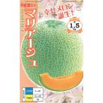 ナント種苗 メロン マ�