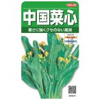 sakata. tane China . сердце. tane(.........)[ внутри емкость :9ml]