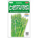 サカタのタネ どっさりアスパラガス ウェルカム　約0.9ｍｌ【郵送対応】【品種名：Atticus_登録番号：第27869号】