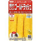 サカタのタネ　トウモロコシ　倒れにくい ゴールドラッシュ９０　21ml【郵送対応】