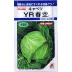 takii вид рассада капуста YR весна пустой 1.2ml [ отправка по почте соответствует ]