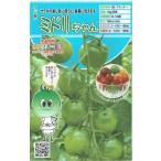 tokita вид рассада мини помидоры зеленый Chan [ внутри емкость : примерно 8 шарик ]