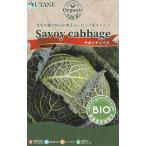 utane иметь машина семена капуста Savoy капуста. tane[ внутри емкость :0.3ml]