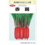  Watanabe . вид место дайкон красный .4.1ml[ отправка по почте соответствует ]