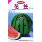 渡辺採種場 スイカ・花笠 約12粒 【郵送対応】
