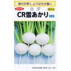  Watanabe . вид место Cub CR снег ...2.5ml [ отправка по почте соответствует ]