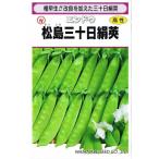  Watanabe . вид место end u сосна остров три 10 день шелк .23ml[ отправка по почте соответствует ]