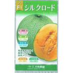 大和農園　メロン　シ