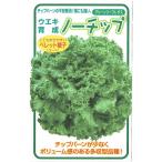  Yokohama растение reta snow chip L пальто семена примерно 100 шарик [ отправка по почте соответствует ]
