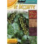 [FRANCHI фирма семена ][17/1]alabika кофе 