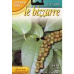 [FRANCHI фирма семена ][96/50] черный перец 