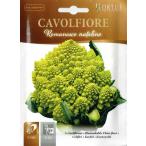 [HORTUS фирма ] цветная капуста *romanesko( желтый зеленый коралл ) Romanesco natalino 3g [0681][COD.BSOCVF014]