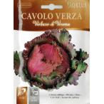 ショッピングサボイ HORTUS社　サボイキャベツ Verza violaceo di  verona　5g　Art.1351　COD.BSOCVV008