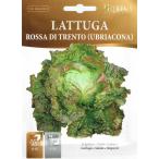 [HORTUS фирма ] lettuce (la палец на ноге ga)*to Len toRossa di Trento [ внутри емкость :6g][3401]