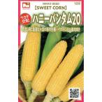  солнечный свет вид рассада sakata. распределение мед van tam20( кукуруза ). tane[ внутри емкость :10ml][1255][ весна ]