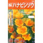 日光種苗　ハナビシソウのタネ［内容量:0.5ml］【1068】（花菱草、はな…
