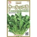 日光種苗　香味菜「ケールッコラ」のタネ[内容量：コ