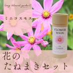 [ цветок. .... комплект Mini Cosmos ]Living botanical garden( living *botanikaru* сад )