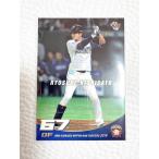 * BBM2018 Hokkaido Nippon-Ham Fighters обычная карта F70....*