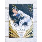 * BBM основа Ball Card premium 2020 GENESIS обычная карта 074 Hanshin Tigers синий ...*
