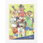 ☆ BBM2021 北海道日本ハムファイ