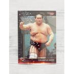 * BBM2022 Infinity INFINITY 2022 обычная карта 36 большой сумо .no Fuji весна самец *