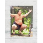 ☆ BBM2020 大相撲カード レギュラーカード 57 旭秀鵬滉規 十両 ☆