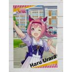 ☆ ウマ娘 プリティーダービー アニメイ