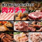 ショッピング肉 【3000円コース】肉ガチャ 肉福袋 食品 冷凍 肉 精肉 加工品 福袋 詰め合わせ