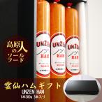 ショッピング引越し 挨拶 ギフト 雲仙ハムギフト(1本300g 3本入)【送料別】 長崎 BBQ 焼肉 ソールフード 引出物 御祝い返し